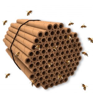 Mason Bee Tubes 100 Pack